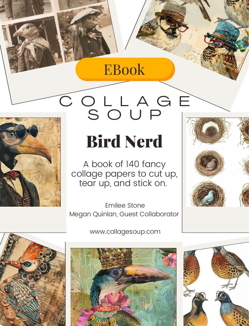 Bird Nerd eBook page 1 — [object Object]
