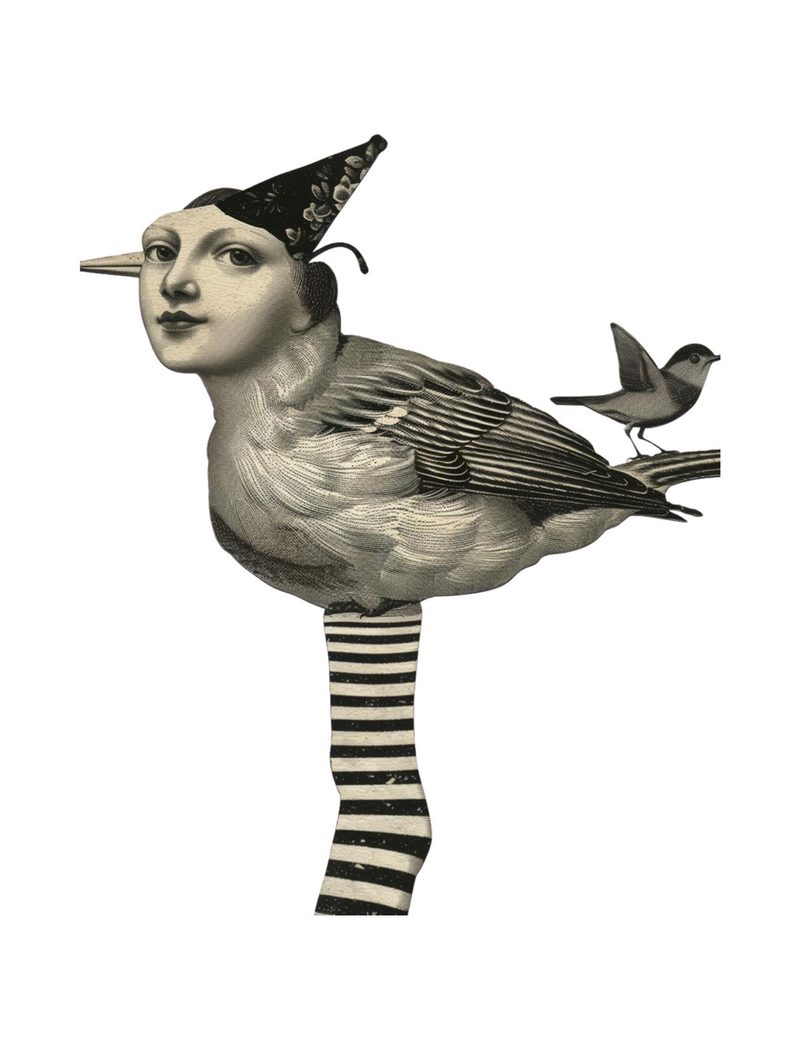 Birds Of A Feather eBook page 11 — [object Object]