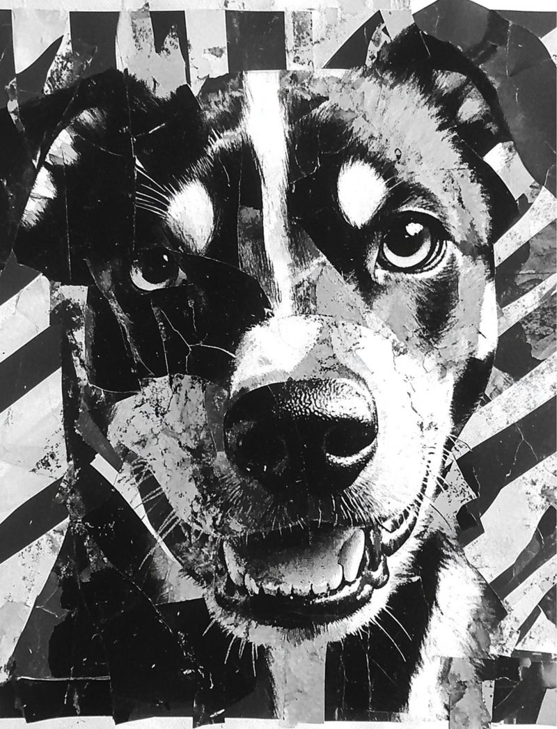 Black House White Market eBook page 28 — [object Object]
