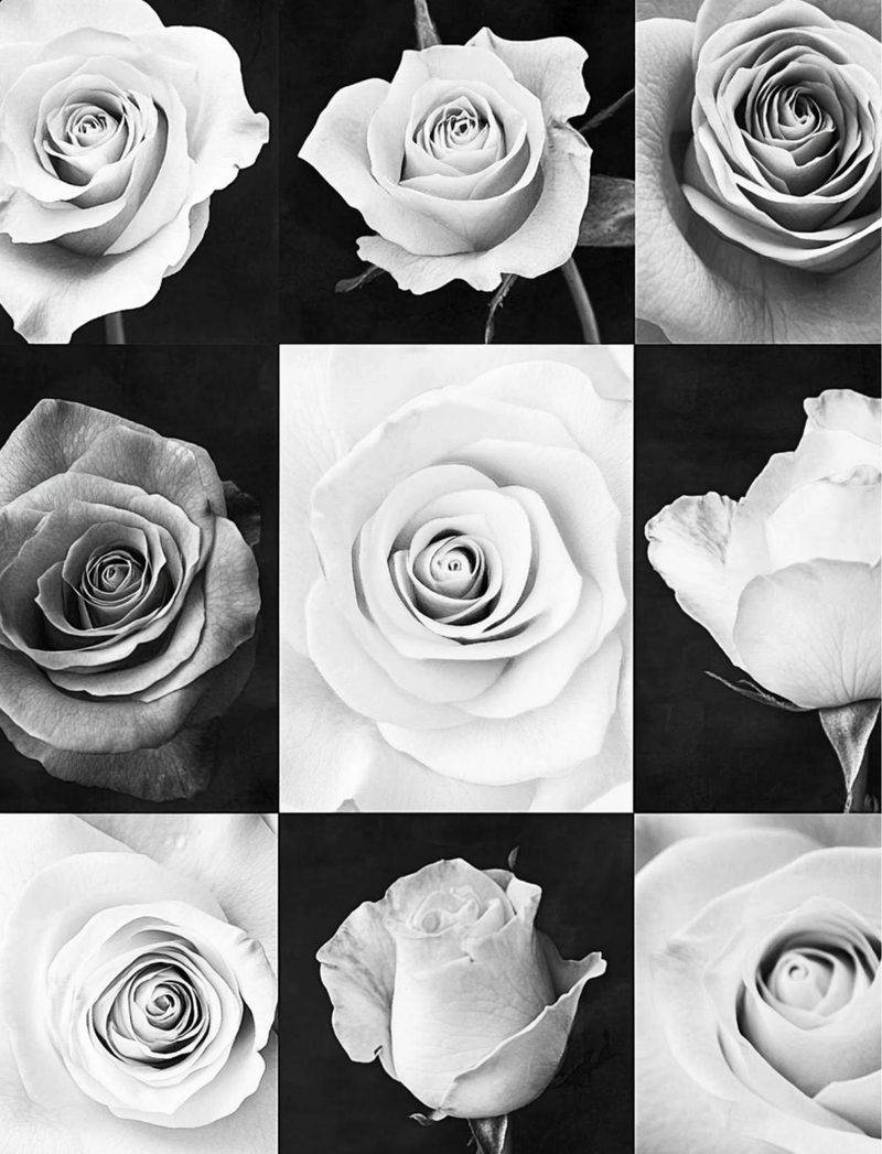 Black House White Market eBook page 41 — [object Object]