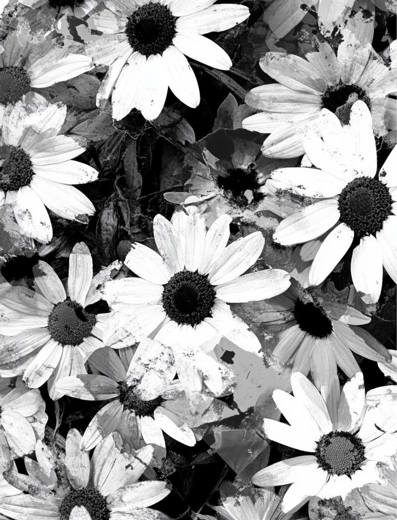 Black House White Market eBook page 46 — [object Object]