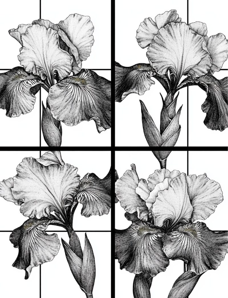 Black House White Market eBook page 49 — [object Object]