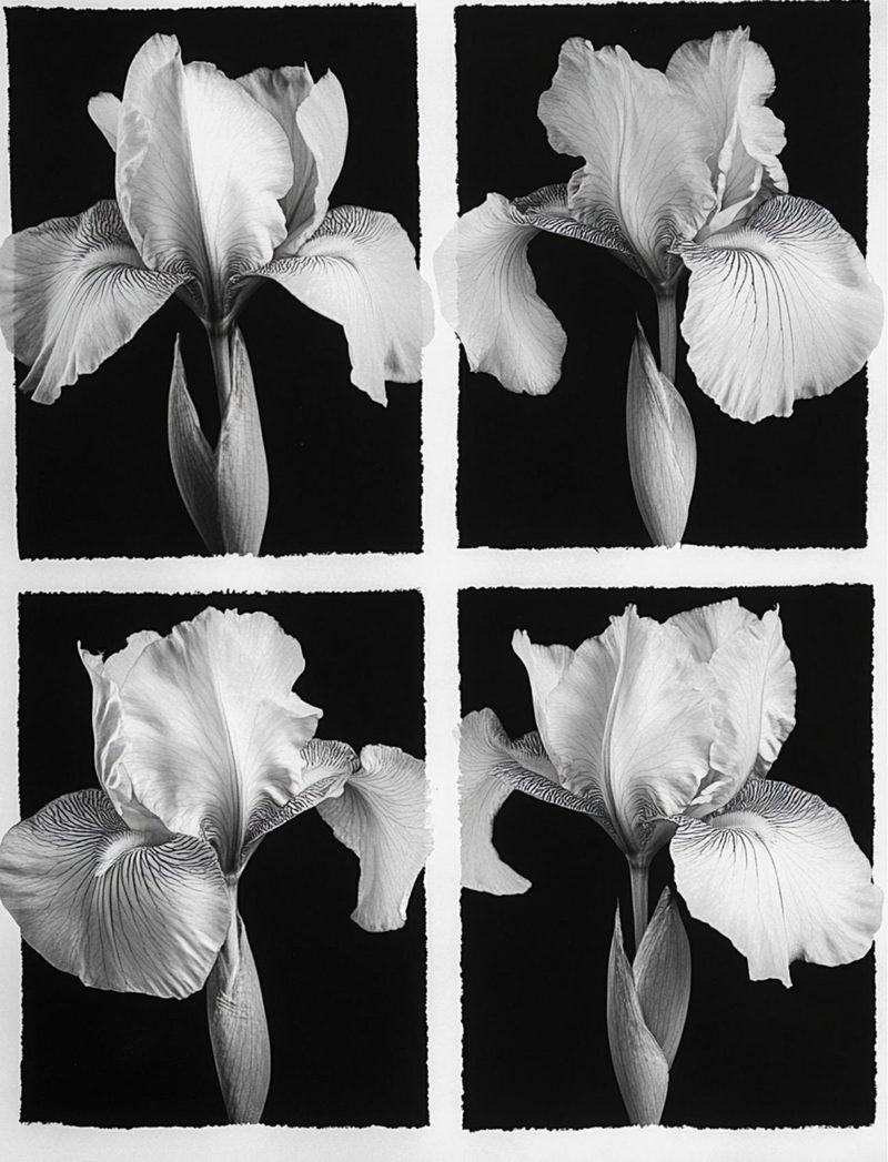 Black House White Market eBook page 50 — [object Object]