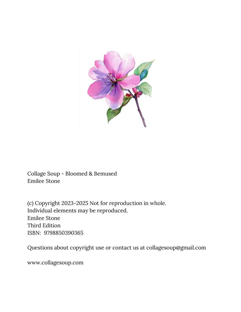 Bloomed & Bemused eBook page 3 — [object Object]