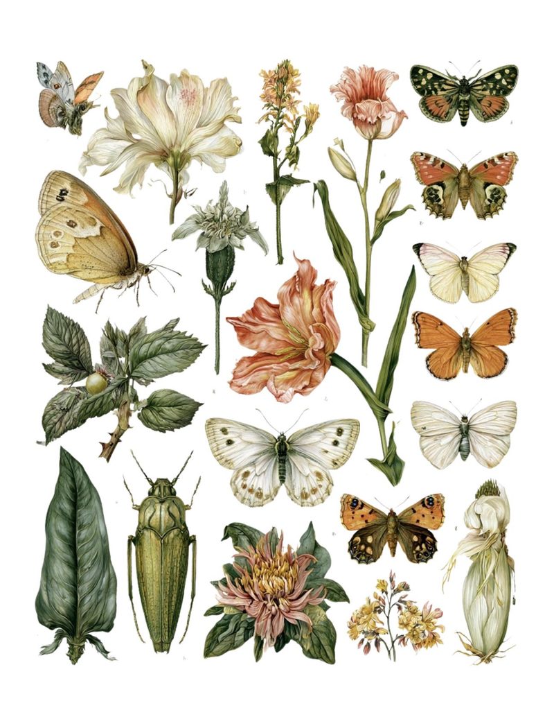 Botanica Obscura — Midnight Garden Collage Papers eBook page 60 — [object Object]