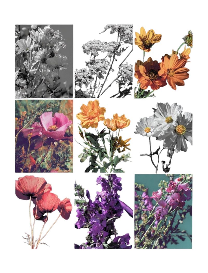 Botanica Obscura — Midnight Garden Collage Papers eBook page 62 — [object Object]