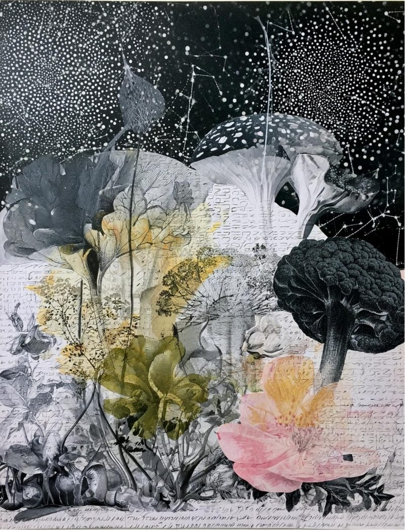 Botanica Obscura — Midnight Garden Collage Papers eBook page 86 — [object Object]