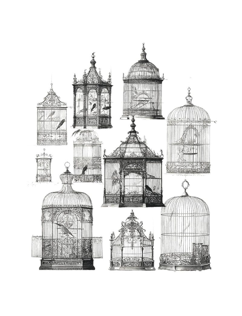 Carousel Dreams eBook page 62 — [object Object]