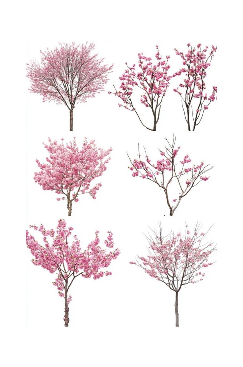 Spring Forward eBook page 100 — [object Object]
