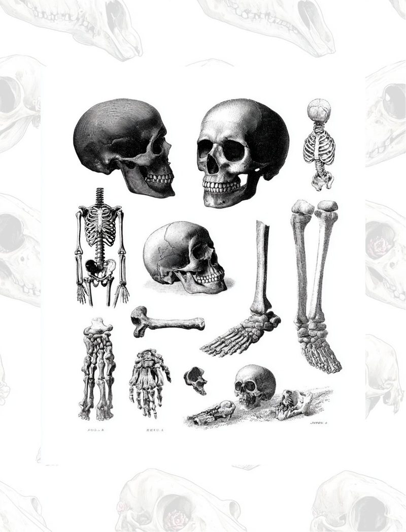 Don’t Lose Your Head eBook page 28 — [object Object]