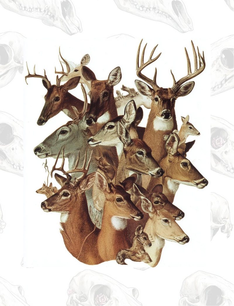 Don’t Lose Your Head eBook page 37 — [object Object]