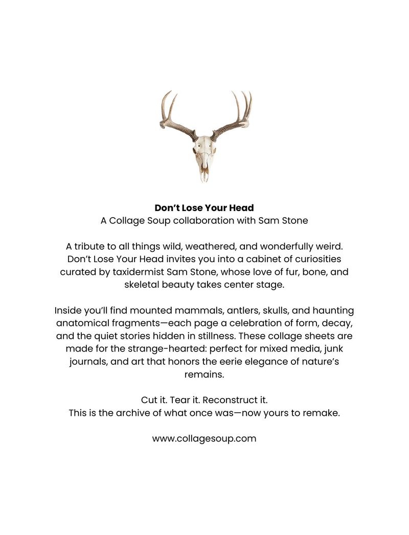 Don’t Lose Your Head eBook page 90 — [object Object]