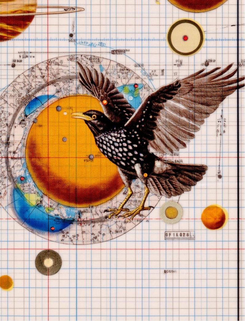 Dreamweavers eBook page 6 — [object Object]