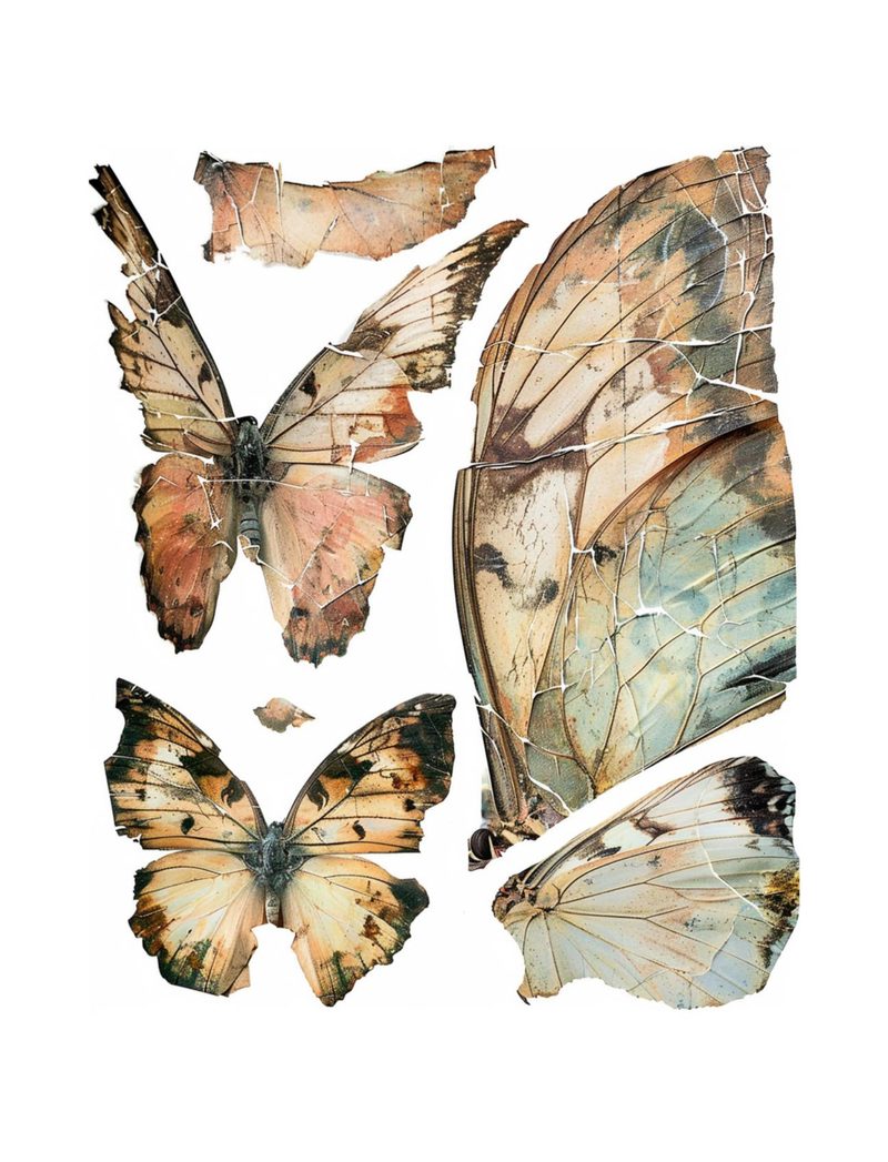 Extraordinary Emporium eBook page 70 — [object Object]