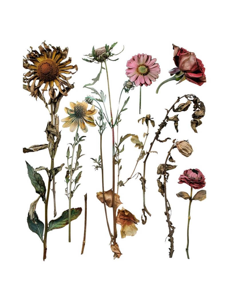 Extraordinary Emporium eBook page 75 — [object Object]