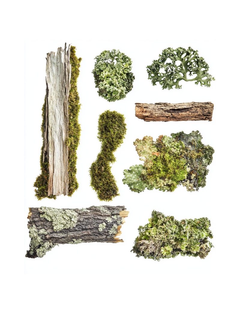 Fae, Fee, Fi, Fo, Fum eBook page 47 — [object Object]