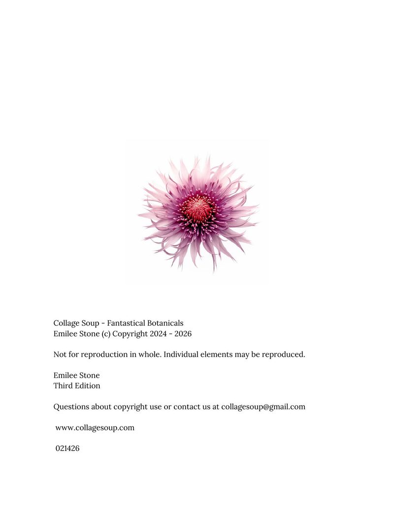 Fantastical Botanicals eBook page 2 — [object Object]