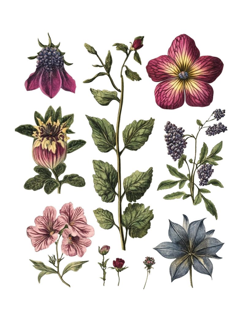 Fantastical Botanicals eBook page 44 — [object Object]