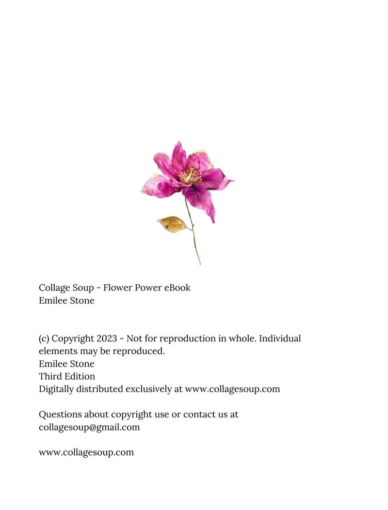 Flower Power eBook page 2 — [object Object]