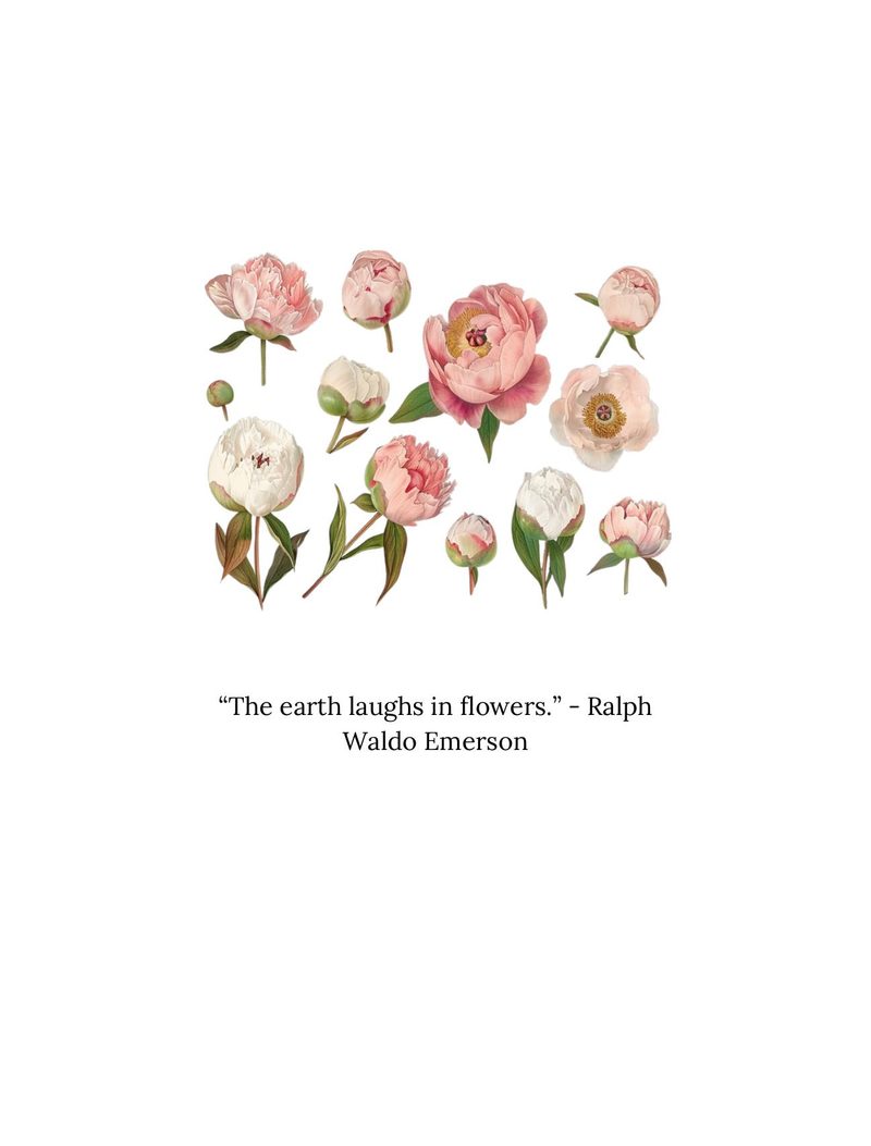 Flower Power eBook page 3 — [object Object]