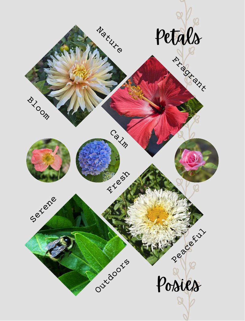 Found It! eBook page 22 — [object Object]