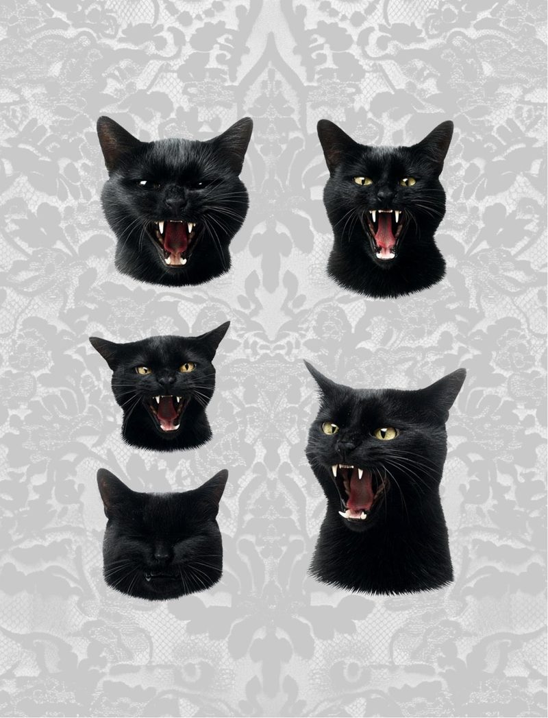 Hexy & I Know It eBook page 35 — [object Object]