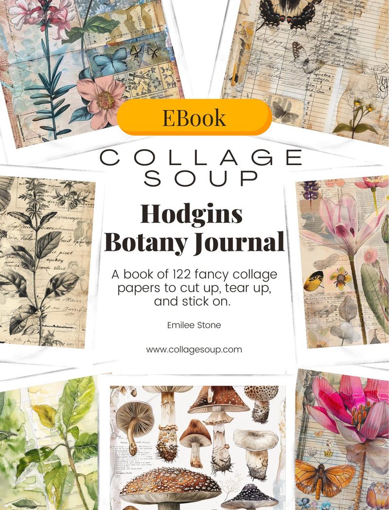 Hodgins Botany Journal eBook page 1 — [object Object]