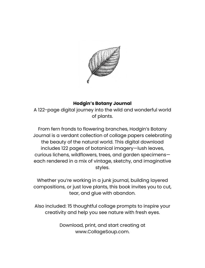Hodgins Botany Journal eBook page 123 — [object Object]