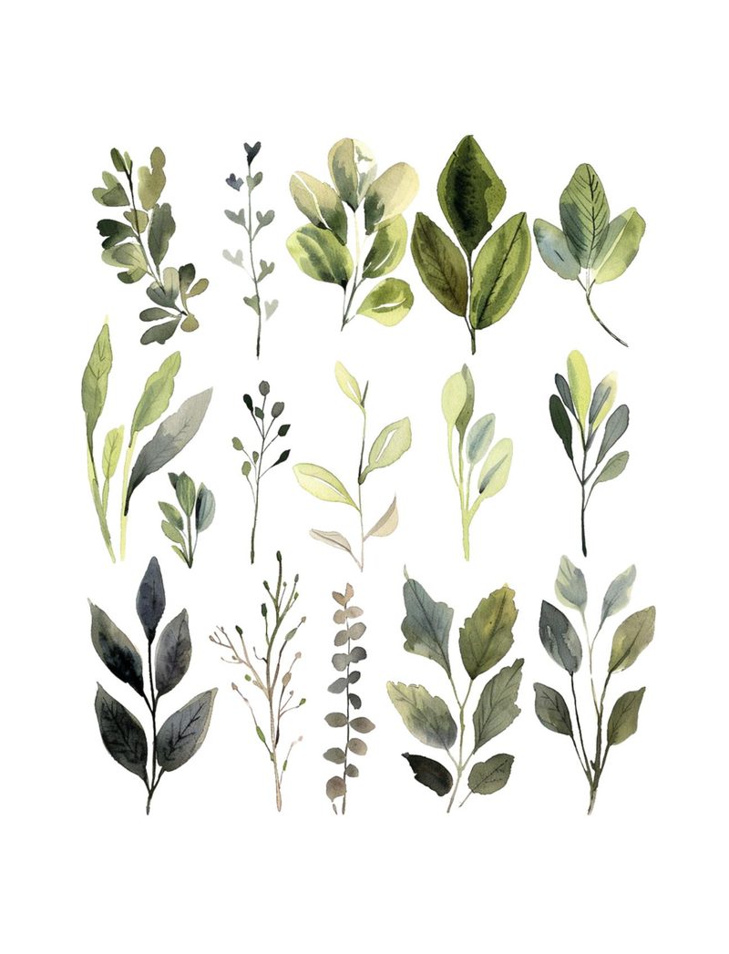 Hodgins Botany Journal eBook page 67 — [object Object]
