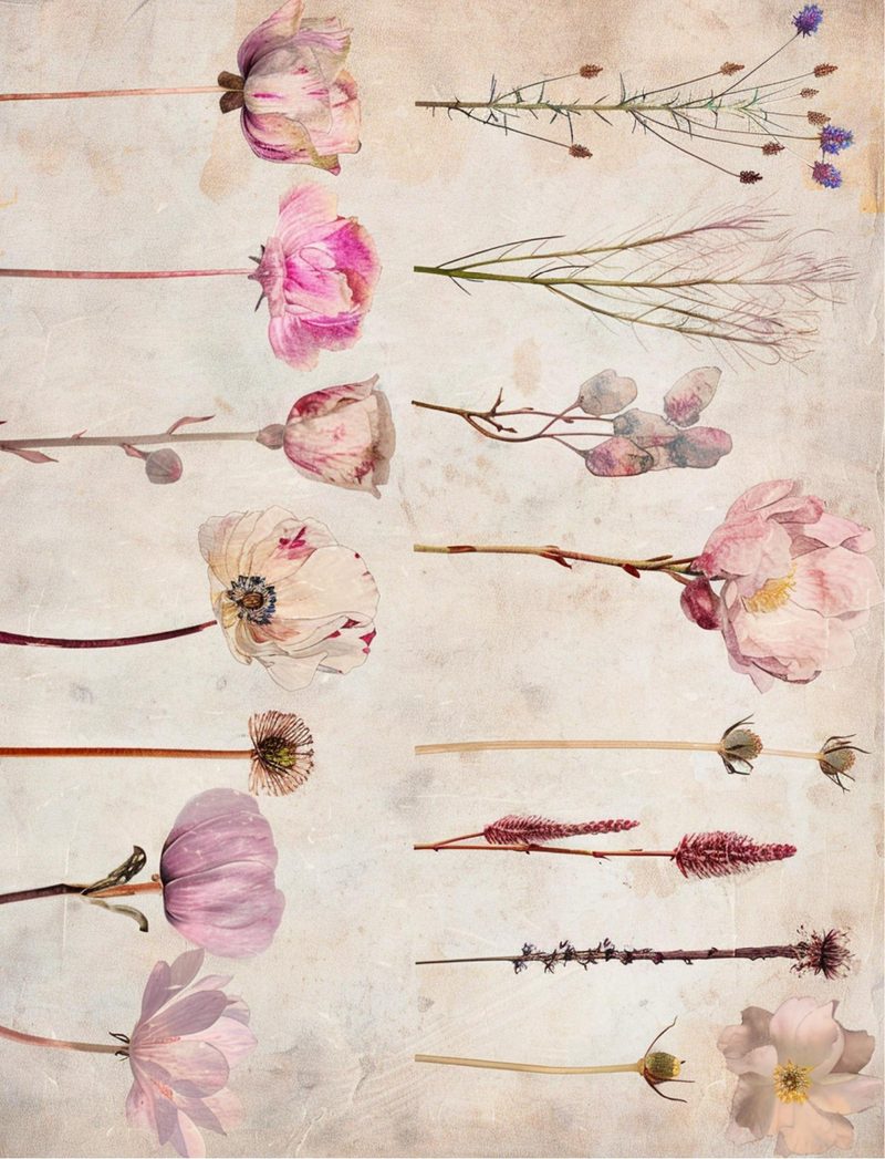 How Does Your Garden Grow? eBook page 140 — [object Object]