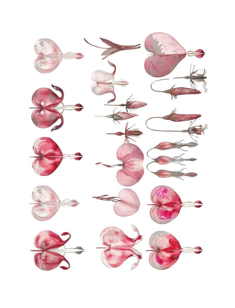 How Does Your Garden Grow? eBook page 165 — [object Object]