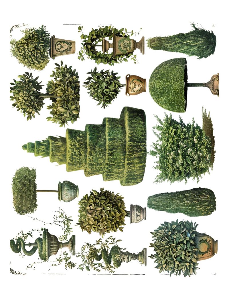 How Does Your Garden Grow? eBook page 53 — [object Object]