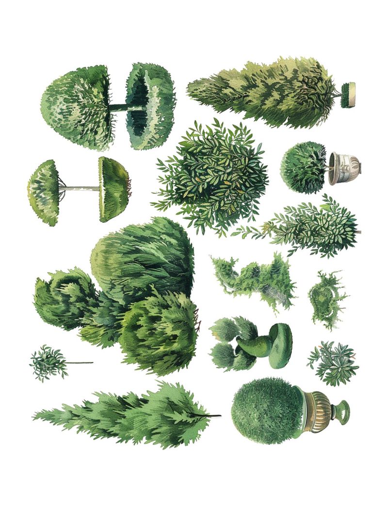 How Does Your Garden Grow? eBook page 55 — [object Object]