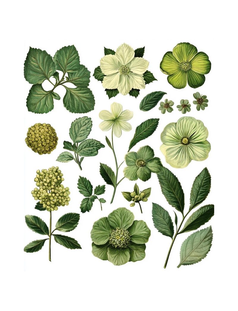 Mean Green Collage Machine eBook page 68 — [object Object]