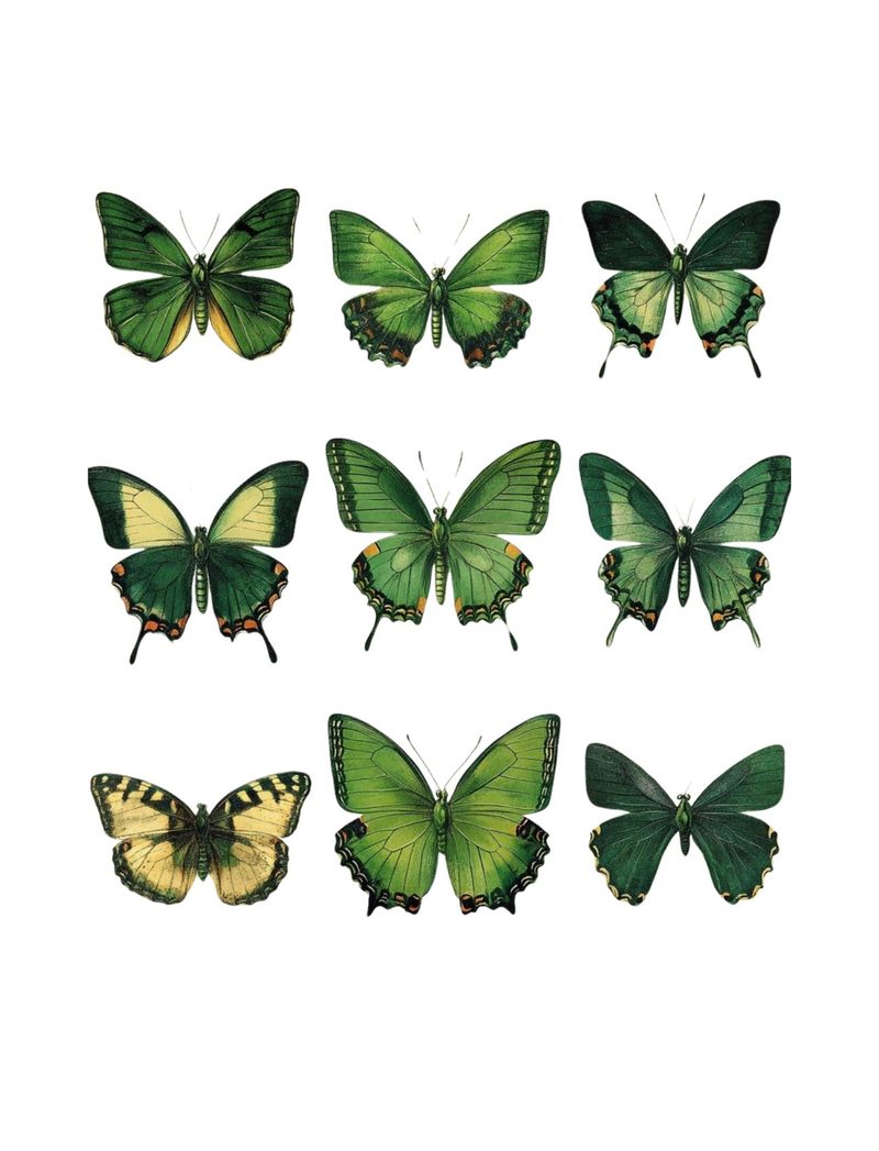 Mean Green Collage Machine eBook page 71 — [object Object]