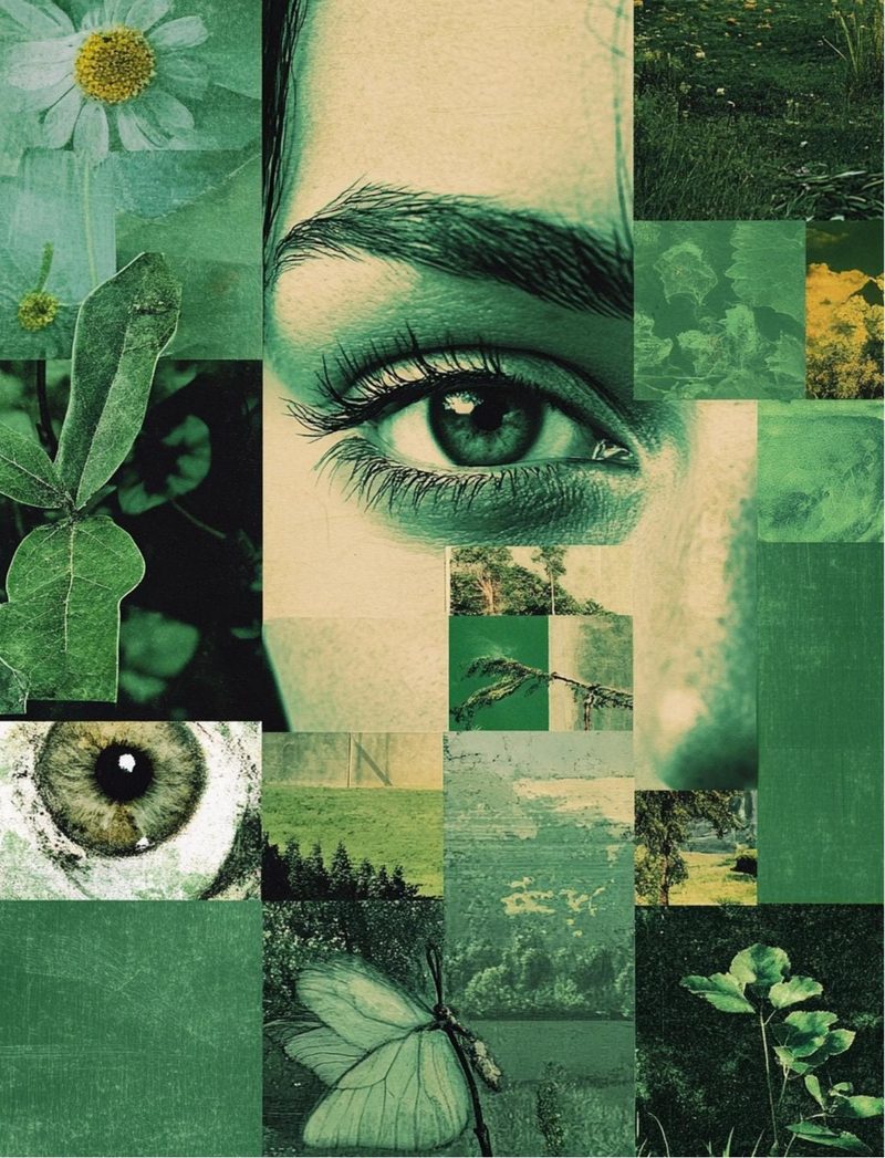Mean Green Collage Machine eBook page 8 — [object Object]