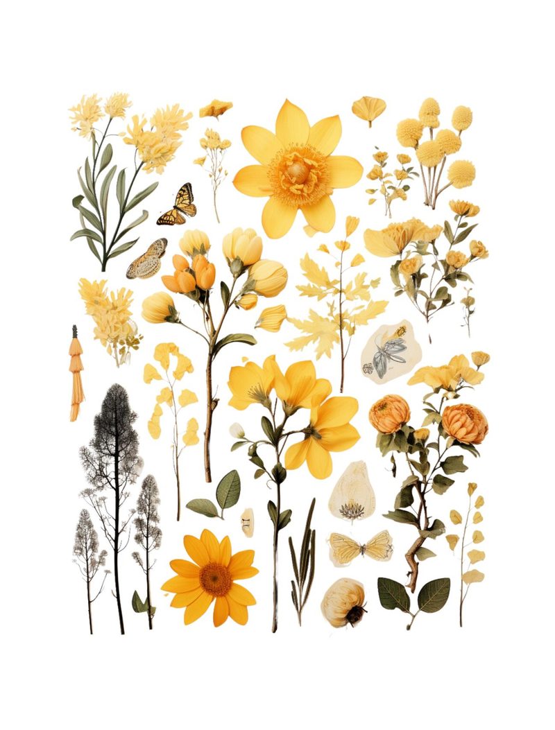 Mellow Yellow eBook page 29 — [object Object]
