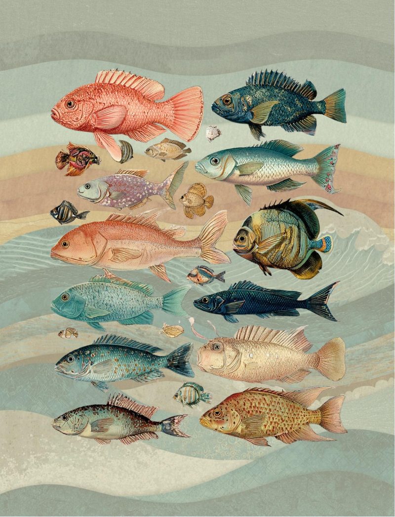 Mermazing eBook page 38 — [object Object]