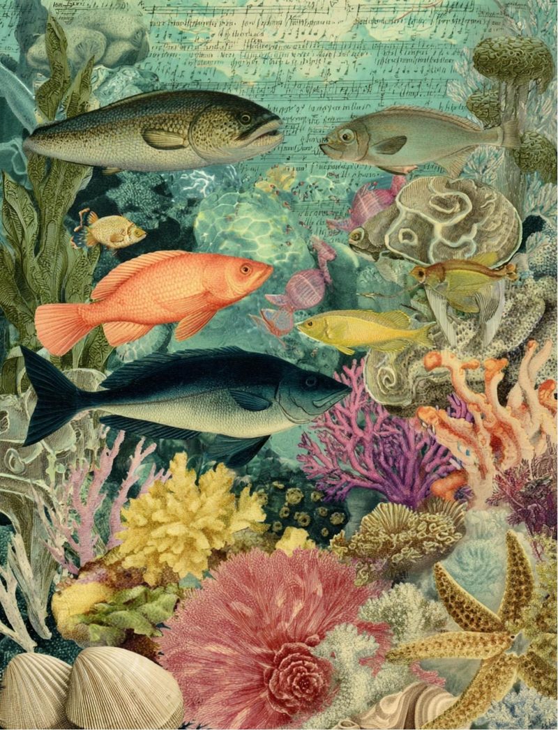 Mermazing eBook page 70 — [object Object]