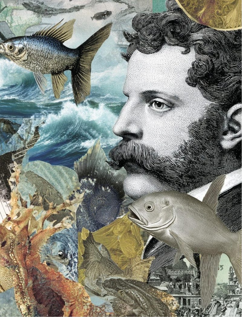 Mermazing eBook page 79 — [object Object]