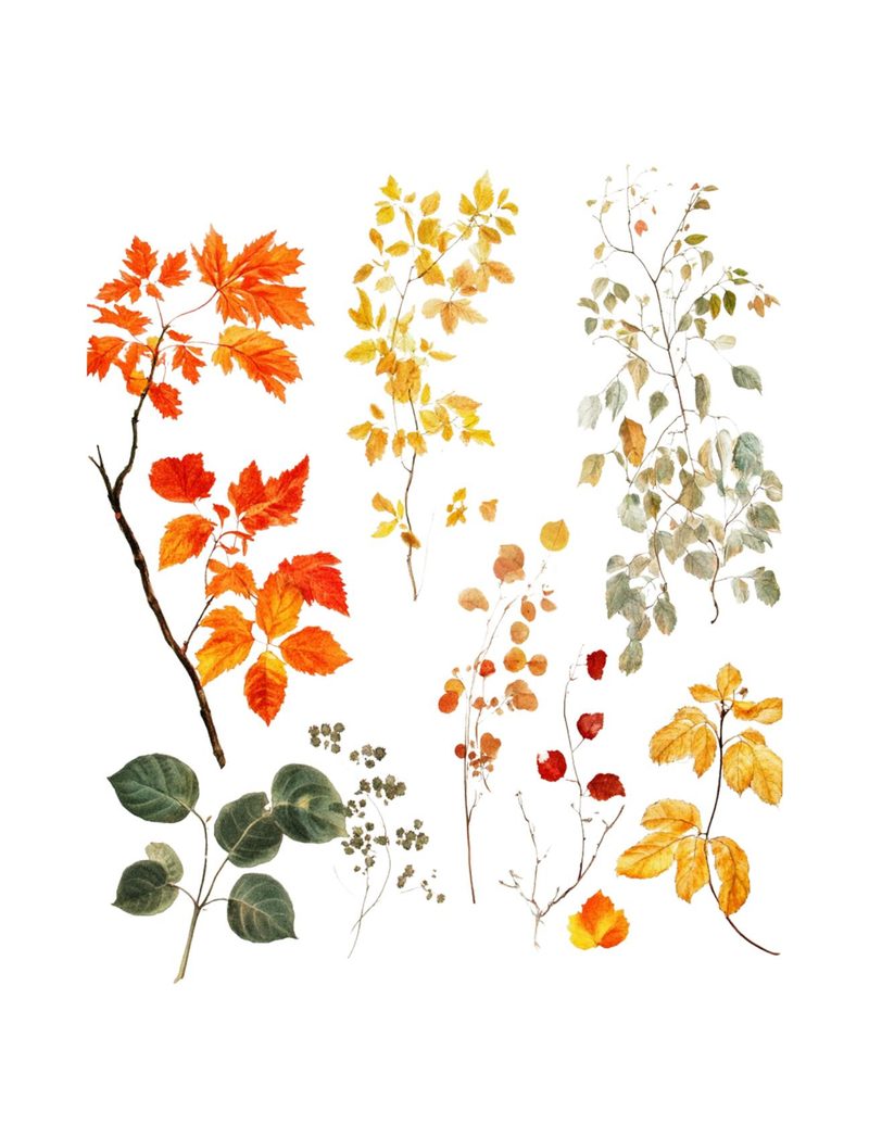 My Favorite Color Is Fall eBook page 39 — [object Object]