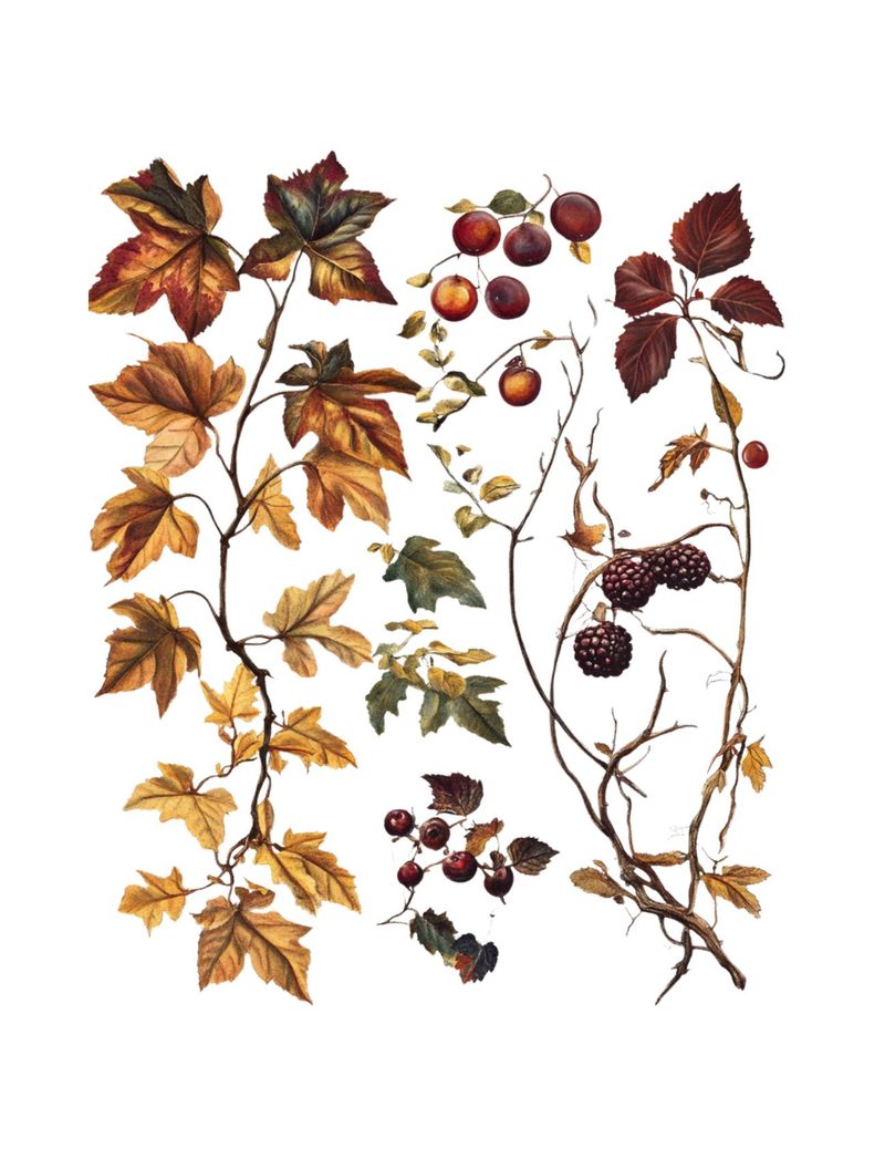 My Favorite Color Is Fall eBook page 40 — [object Object]