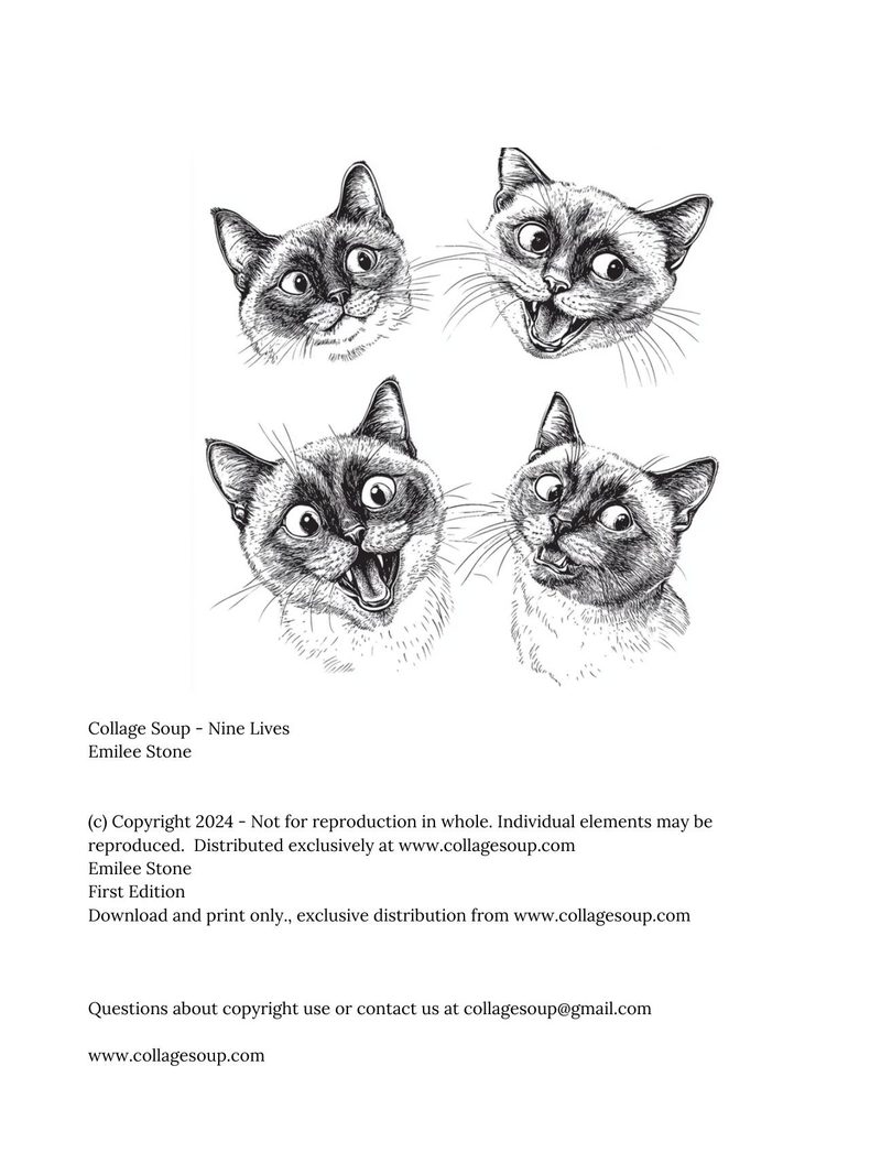Nine Lives eBook page 2 — [object Object]