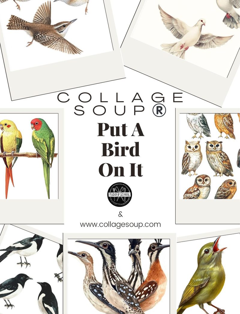 Put a Bird On It eBook page 1 — [object Object]