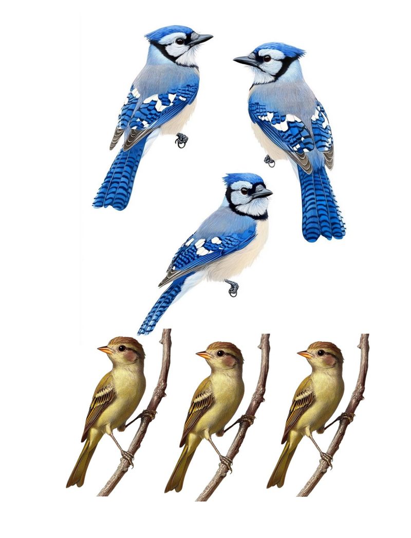 Put a Bird On It eBook page 29 — [object Object]