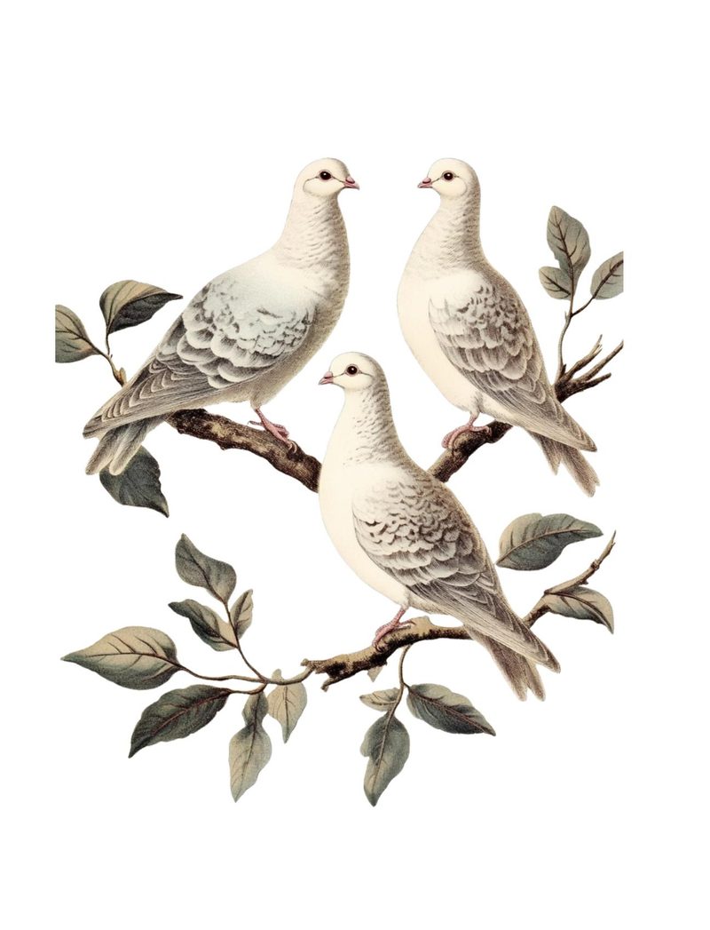 Put a Bird On It eBook page 55 — [object Object]