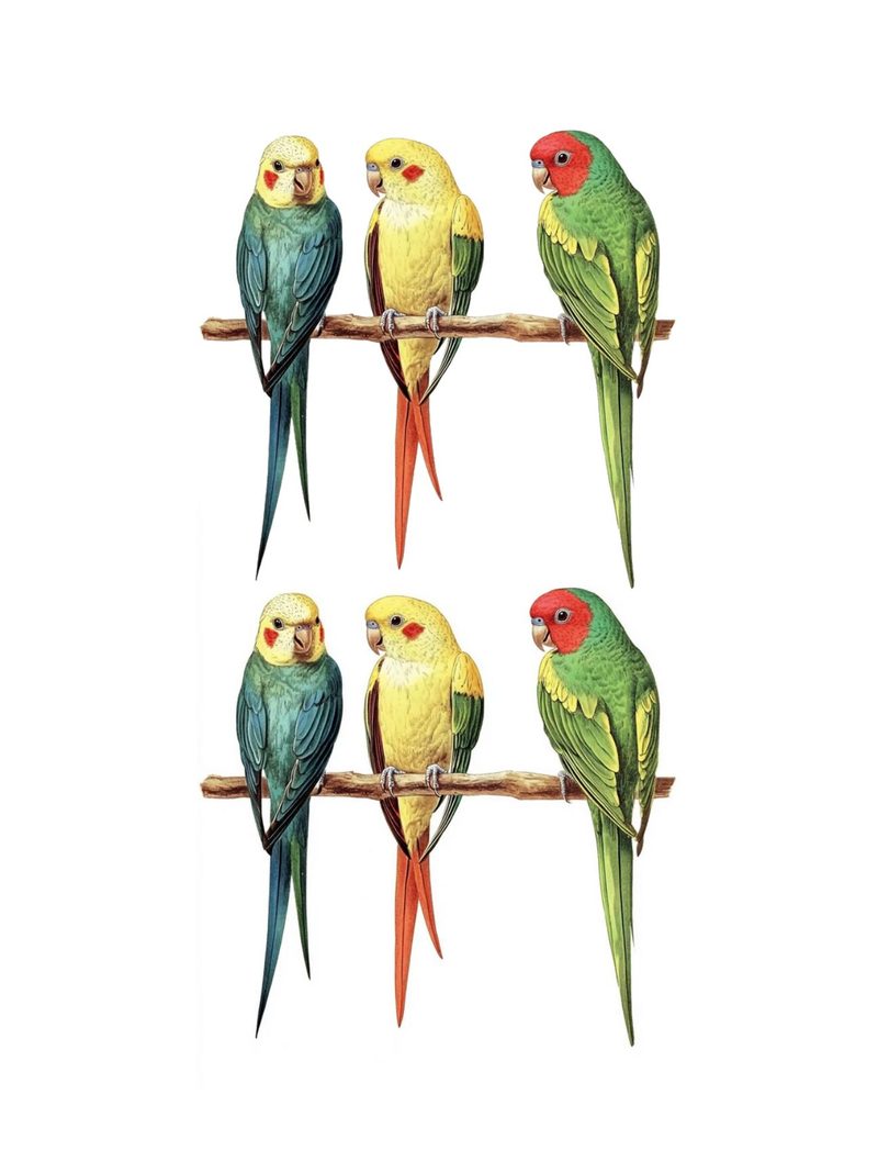 Put a Bird On It eBook page 57 — [object Object]