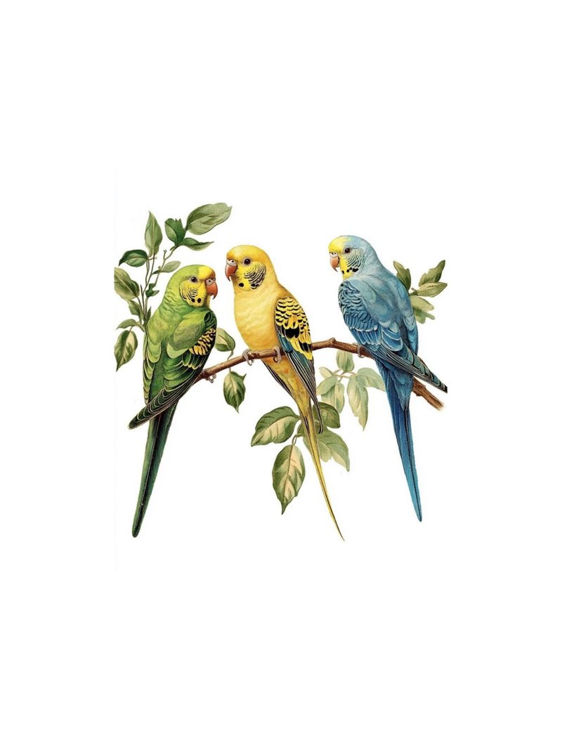 Put a Bird On It eBook page 59 — [object Object]