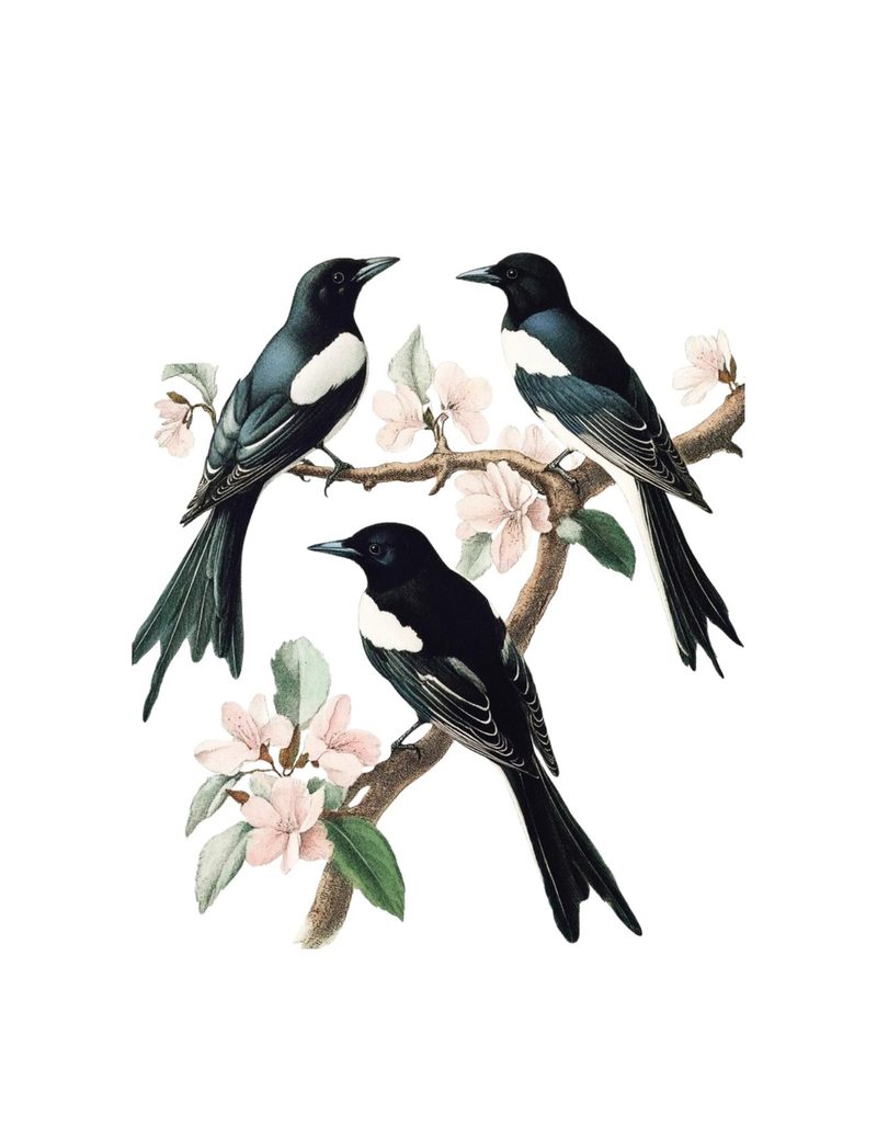 Put a Bird On It eBook page 63 — [object Object]
