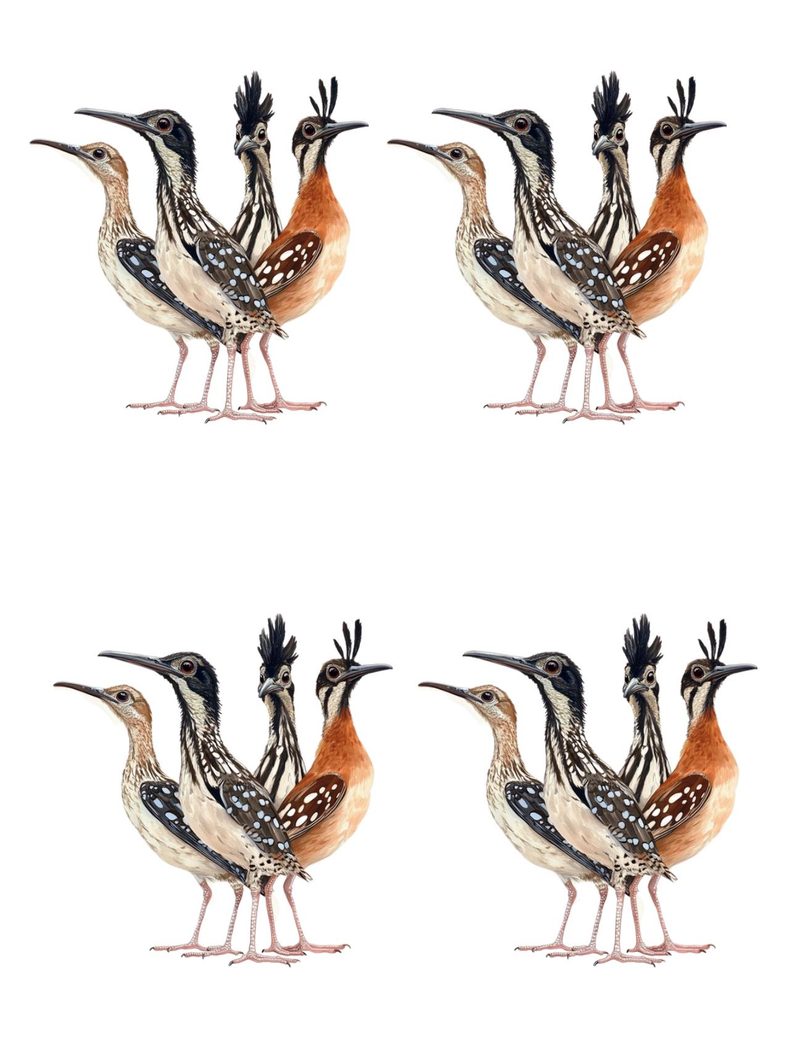 Put a Bird On It eBook page 65 — [object Object]
